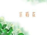 茉莉花（江苏） 课件 人音版（2012）小学音乐六年级上册