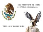 花城版六年级（上册）当我们在广场上相遇 课件