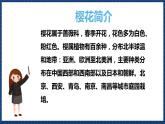 人音版音乐三年级上册 6《樱花》（五线谱）课件（无音频）