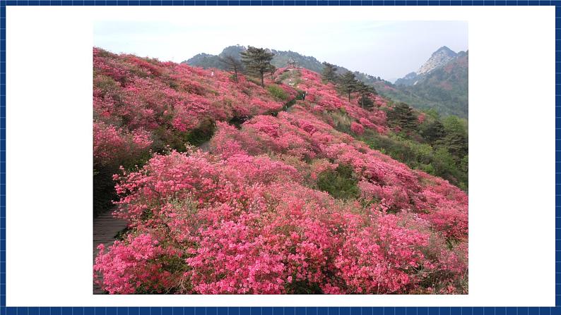 人音版音乐三年级上册 8《如今家乡山连山》（五线谱）课件02