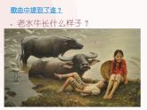音樂-人音版(簡譜)三年級上-第4課-老水牛角彎彎 課件