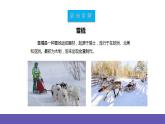 【新課標】人教版音樂二年級下冊2.2《小雪橇》課件+素材