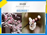 人教版音乐五年级下册5.1《梅花》教案+课件+素材