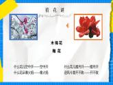 花城版音乐二年级下册 1.2歌曲《猜花》课件+教案+素材