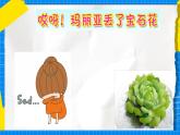 花城版音乐二年级下册 10.1歌曲《哎呀！玛丽亚丢了宝石花》课件