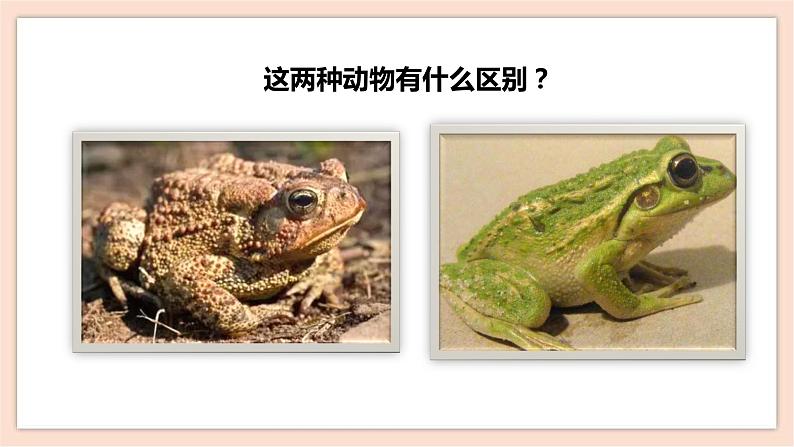 人音版四年级下册第三单元第四课时《癞蛤蟆和小青蛙》课件05