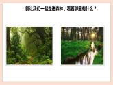 人音版四年級下冊第五單元第一課時《森林的歌聲》課件