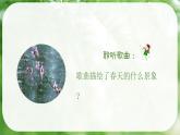 春雨蒙蒙地下課件PPT