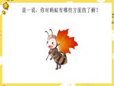 【人教版】一下音乐  第一单元 小蚂蚁 教案＋课件＋素材
