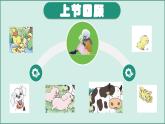 花城版1上音乐第七课《青蛙合唱》课件+教案