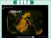 花城版1上音乐第七课《青蛙合唱》课件+教案