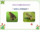 癩蛤蟆和小青蛙課件 人音版（2012）音樂四年級下冊