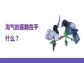 人音版音乐二年级下册 第五单元第四课《喜鹊钻篱笆》课件+教案+素材