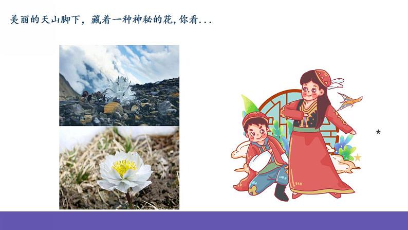 人音版音乐二年级下册 第八单元第四课《我爱雪莲花》 课件第3页