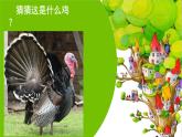 花城版音乐2上第十课《稻田里的火鸡》课件