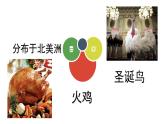 花城版音乐2上第十课《稻田里的火鸡》课件