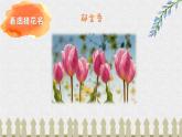 猜花课件 花城版小学音乐二年级下册