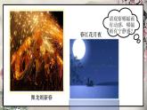 《音乐中的动与静》课件  花城版音乐四年级下册