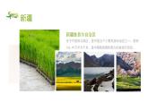 花城版音樂5上第八課上《新疆之春》課件+教案