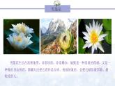 《我愛雪蓮花》課件  人音版（2012）音樂二年級下冊