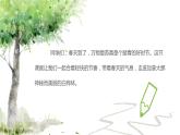 《白樺林好地方》課件  人音版（2012）音樂四年級下冊