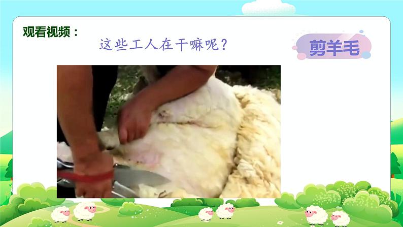 剪羊毛课件  花城版音乐四年级上册第3页
