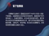 花城版音乐3上第四课《感知音乐中的速度》课件