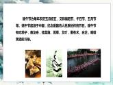 人音版小学四年级音乐上册第6课（课件）划龙船