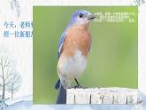《蓝鸟》课件 湘艺版小学音乐一年级上册