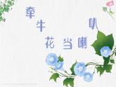 牵牛花当喇叭 课件 湘艺版小学音乐一年级上册