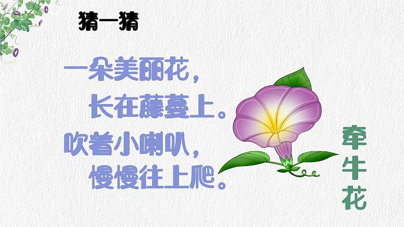 牵牛花当喇叭 课件 湘艺版小学音乐一年级上册第3页