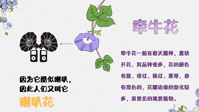 牵牛花当喇叭 课件 湘艺版小学音乐一年级上册第5页