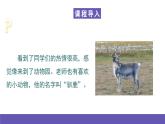湘藝版音樂(lè)一年級(jí)下冊(cè) 第九課 課件