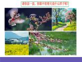 湘藝版音樂四年級(jí)下冊(cè) 第三課 春曉 課件+教案+素材