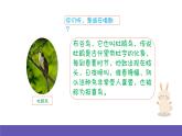 湘艺版音乐四年级下册 第三课 杜鹃 课件+素材