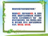 人音版小学二年级音乐上册笛4课（课件）萧