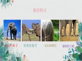 人音版小学一年级音乐上册第4课（课件）两只小象