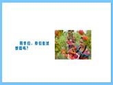 【新课标】人教版音乐一年级上册第2单元《娃哈哈》课件+教案+素材