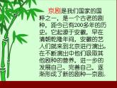 西师大版小学音乐二年级下册 第1单元《都有一颗红亮的心》课件