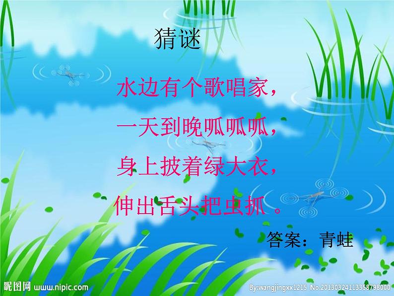 西师大版小学音乐二年级下册 第2单元《数蛤蟆》课件02