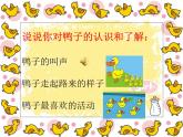 西师大版小学音乐二年级下册 第2单元数鸭子课件