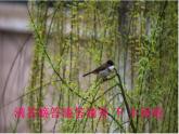 西师大版小学音乐二年级下册 第4单元《春雨》课件