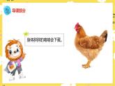 人音版二年级上册音乐小鸡的一家PPT课件