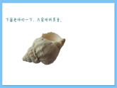【核心素养】人教版音乐四年级上册1.2《小螺号》课件+教案+素材
