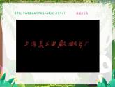人音版一年级上册音乐课件第四单元可爱的动物《快乐的小熊猫》 PPT课件【内含音频+教案】