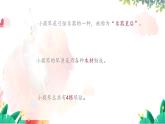 人音版一年级上册音乐课件第七单元小小音乐家《会跳舞的洋娃娃》 PPT课件【内含音频+教案】
