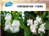 【新课标】人音版音乐六年级上册第1课《茉莉花（聆听）》课堂教学设计+课件+素材
