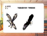 【新课标】人音版音乐五年级上册第6课《雏鹰之歌》教学设计+课件+素材