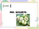 【粤教花城版】五上音乐  第2课 感知音乐节拍（四）第二课时《采莲谣》课件+教案+素材