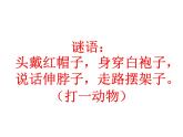 花城版（简谱）音乐二年级上册7老爷爷赶鹅课件课件
